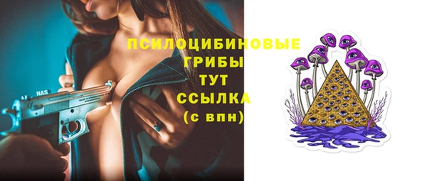 прущая мука Инта