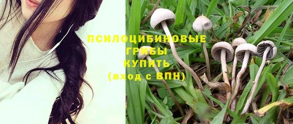 марки lsd Пестово