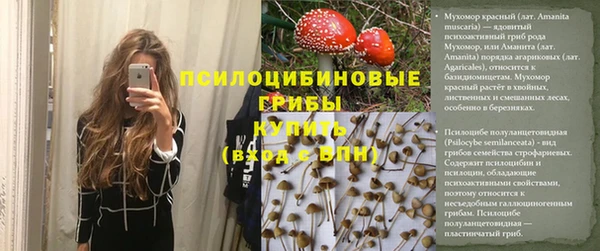 ALPHA-PVP Осинники
